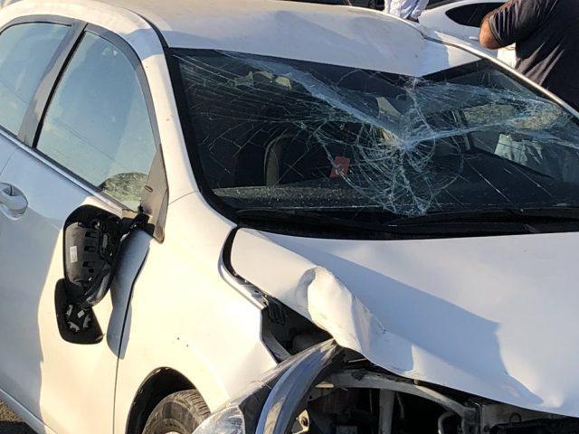 Kapaklı'da trafik kazası: 1 yaralı