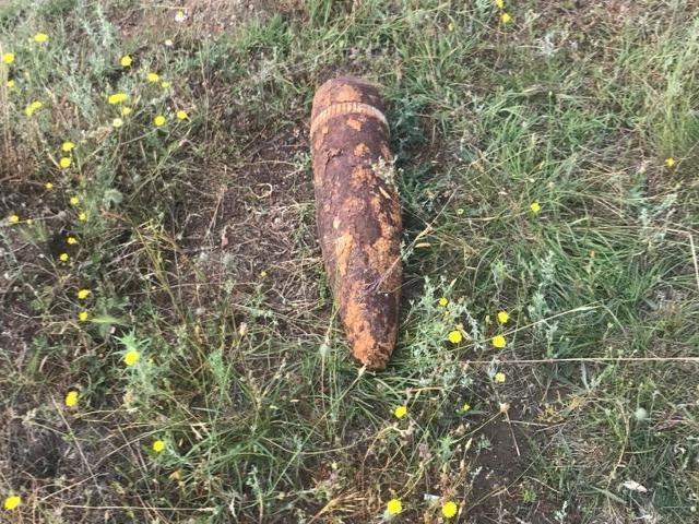 Tekirdağ'da çobanın bulduğu top mermisi imha edildi