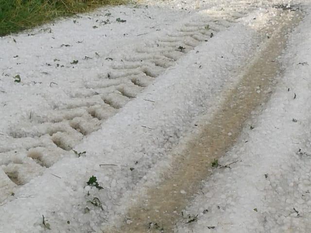 Tekirdağ'da etkili olan dolu buğday ve ayçiçeği tarlalarına zarar verdi