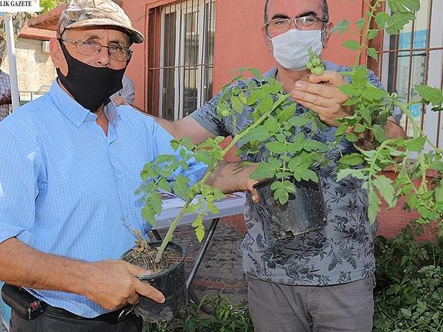 Edirne'de vatandaşlara domates ve biber fidesi dağıtıldı