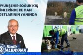 BÜYÜKŞEHİR SOĞUK KIŞ GÜNLERİNDE DE CAN DOSTLARININ YANINDA