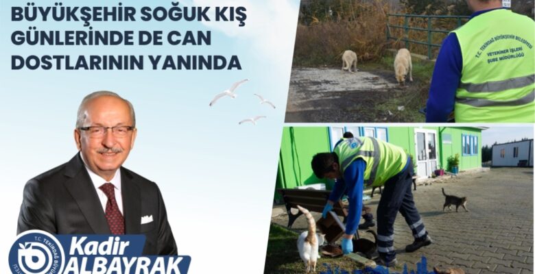 BÜYÜKŞEHİR SOĞUK KIŞ GÜNLERİNDE DE CAN DOSTLARININ YANINDA